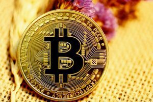 Bitcoin Price