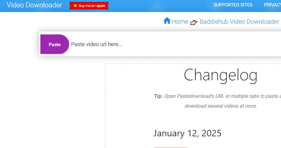baddiehub downloader