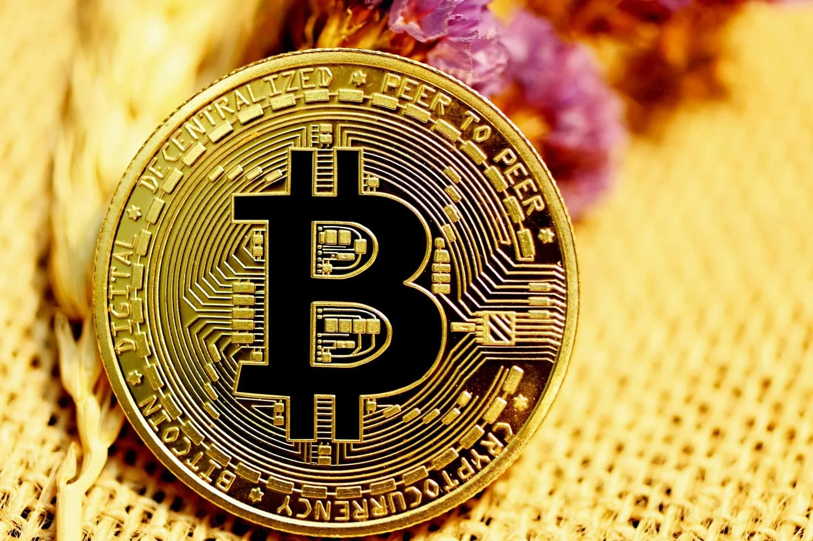 Bitcoin Price